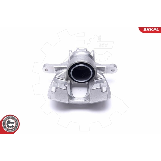 55SKV701 - Brake Caliper 