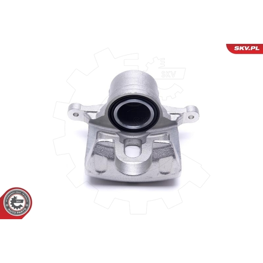 46SKV831 - Brake Caliper 