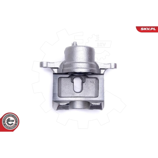 46SKV831 - Brake Caliper 