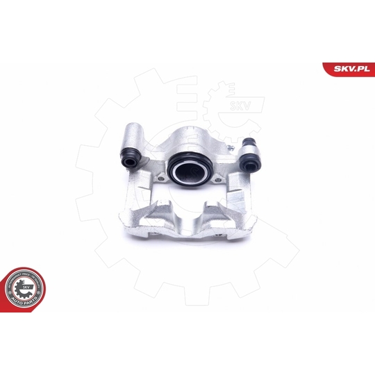 45SKV041 - Brake Caliper 