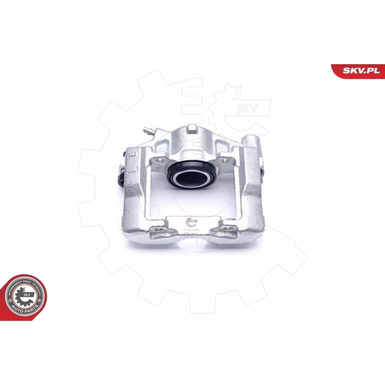 45SKV041 - Brake Caliper 