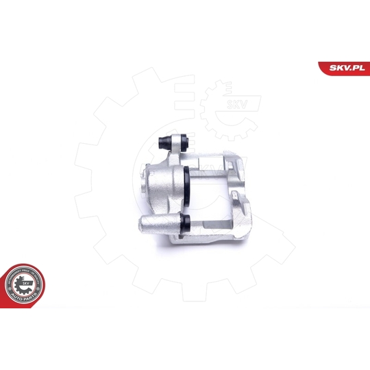 45SKV041 - Brake Caliper 