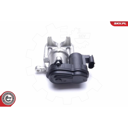 55SKV423 - Brake Caliper 