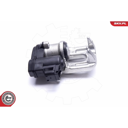 55SKV423 - Brake Caliper 