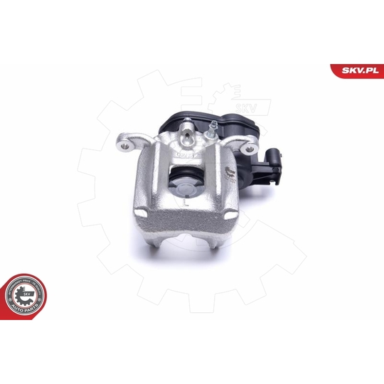 55SKV423 - Brake Caliper 