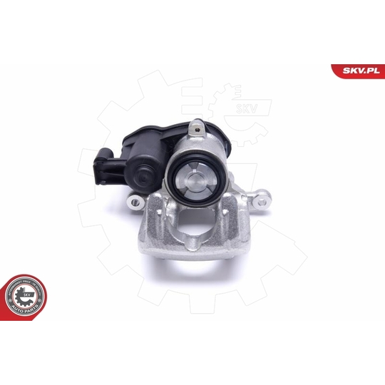 55SKV423 - Brake Caliper 