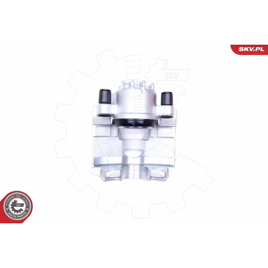 44SKV181 - Brake Caliper 