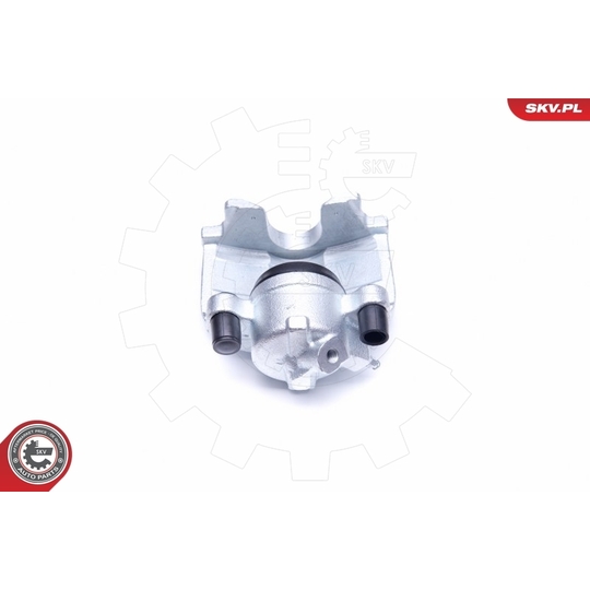 44SKV351 - Brake Caliper 