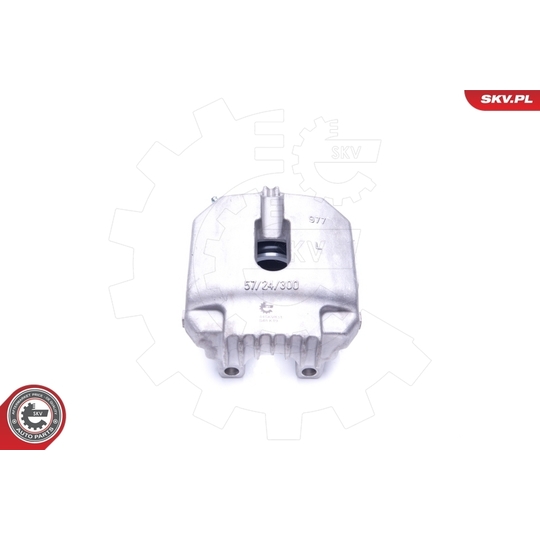 44SKV831 - Brake Caliper 