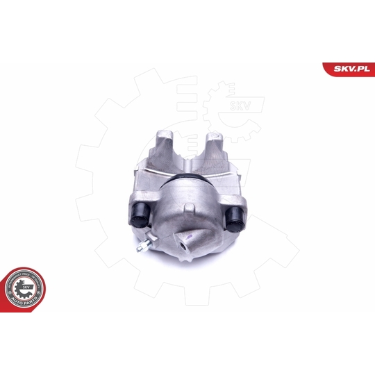 44SKV831 - Brake Caliper 