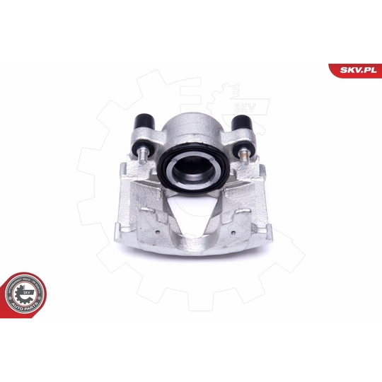 46SKV381 - Brake Caliper 