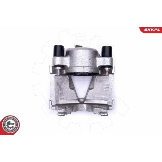 46SKV381 - Brake Caliper 