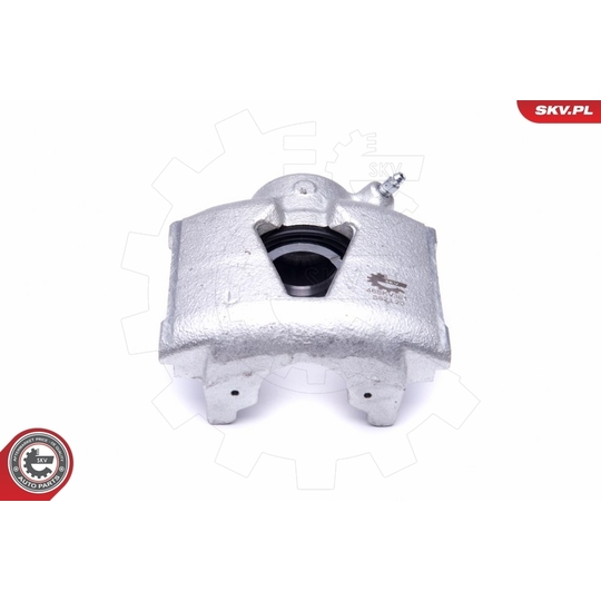 46SKV381 - Brake Caliper 