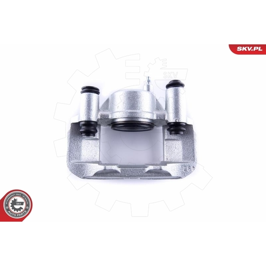 55SKV302 - Brake Caliper 