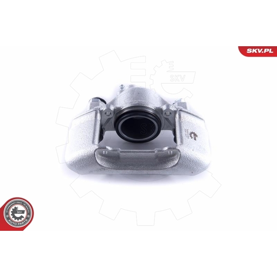 55SKV302 - Brake Caliper 