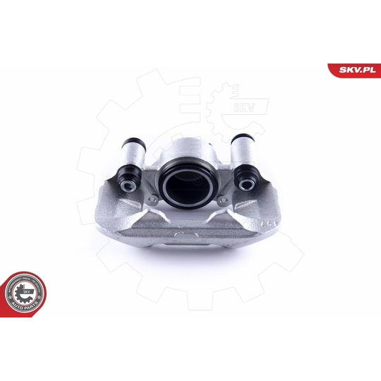 55SKV302 - Brake Caliper 