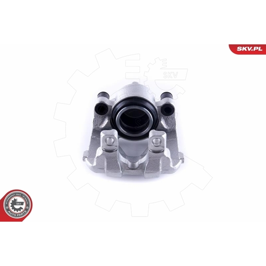 55SKV252 - Brake Caliper 