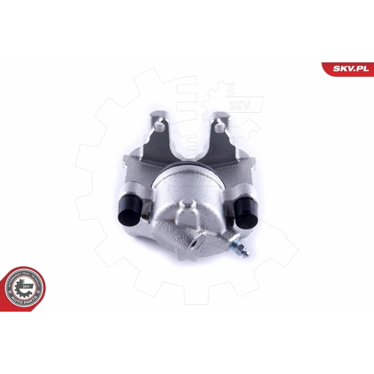 55SKV252 - Brake Caliper 