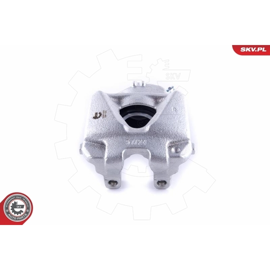 55SKV252 - Brake Caliper 