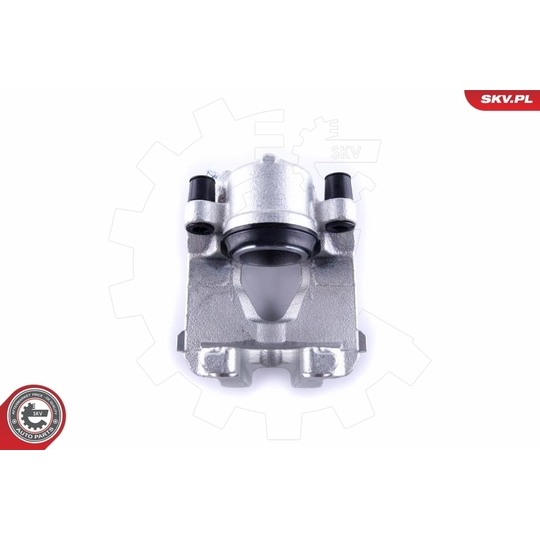 55SKV252 - Brake Caliper 