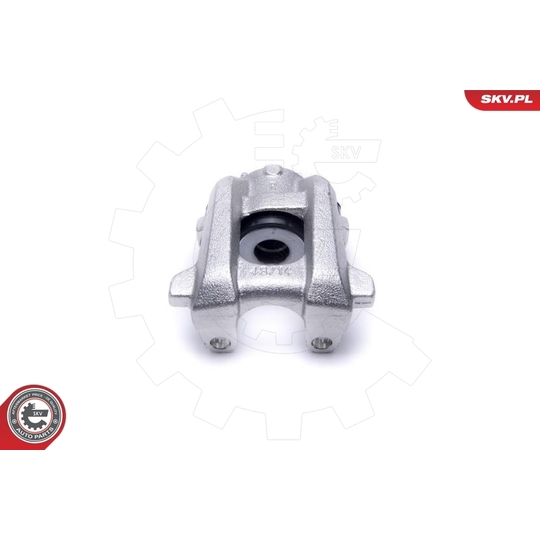 56SKV064 - Brake Caliper 