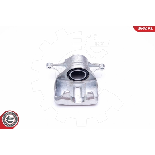 42SKV701 - Brake Caliper 