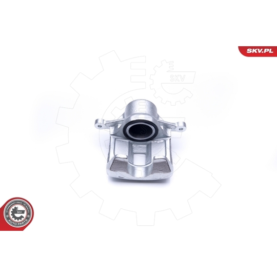 45SKV171 - Brake Caliper 