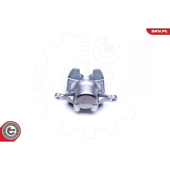 45SKV171 - Brake Caliper 