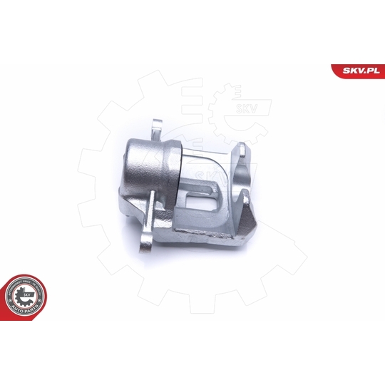 45SKV171 - Brake Caliper 