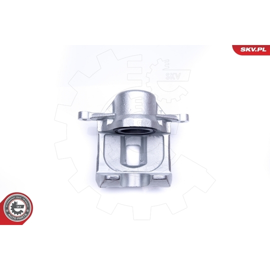 45SKV171 - Brake Caliper 