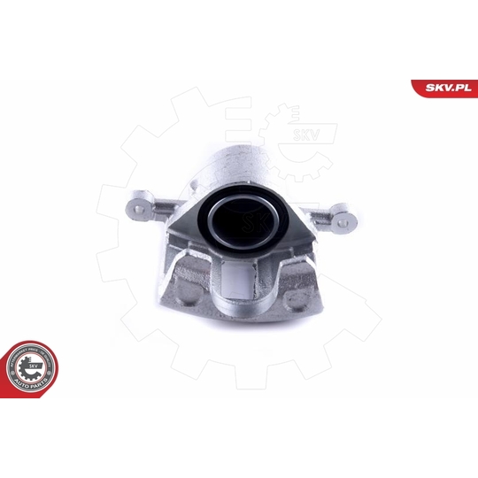 55SKV101 - Brake Caliper 