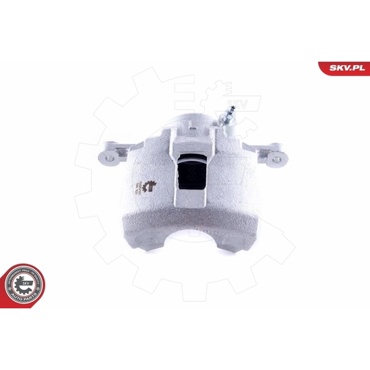 55SKV101 - Brake Caliper 