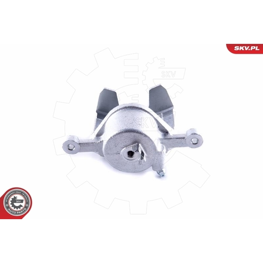 55SKV101 - Brake Caliper 