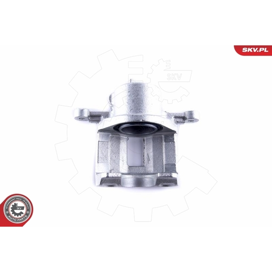 55SKV101 - Brake Caliper 