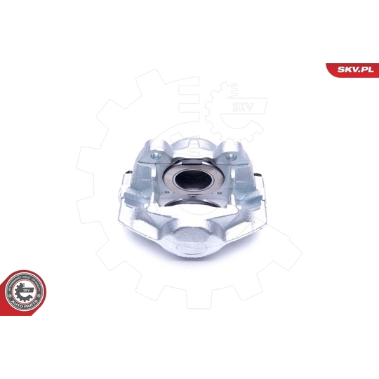 45SKV241 - Brake Caliper 