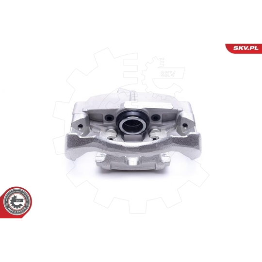 55SKV631 - Brake Caliper 