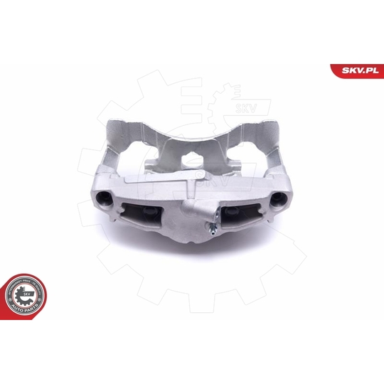 55SKV631 - Brake Caliper 