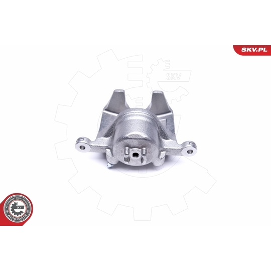 50SKV421 - Brake Caliper 