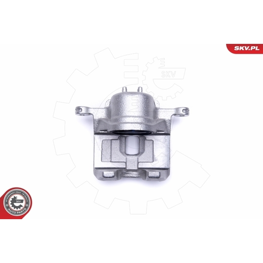 50SKV421 - Brake Caliper 