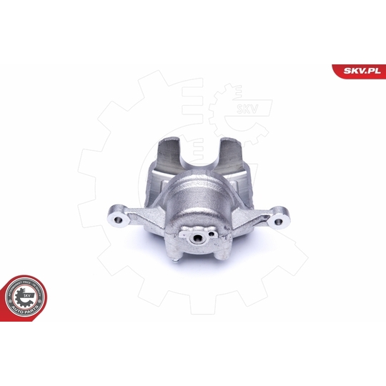 42SKV481 - Brake Caliper 