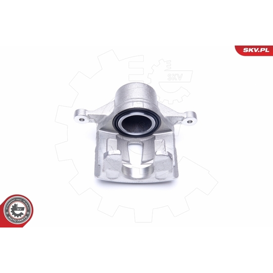 42SKV481 - Brake Caliper 