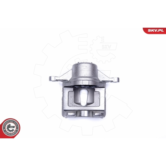 42SKV481 - Brake Caliper 