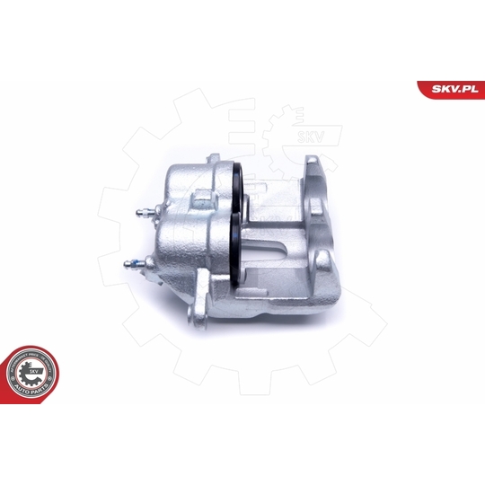 50SKV251 - Brake Caliper 