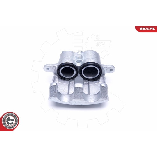 50SKV251 - Brake Caliper 