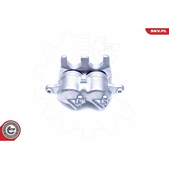 50SKV251 - Brake Caliper 