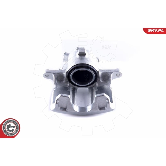 55SKV051 - Brake Caliper 