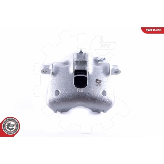 55SKV051 - Brake Caliper 