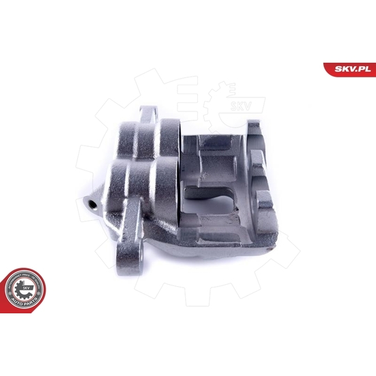 55SKV411 - Brake Caliper 