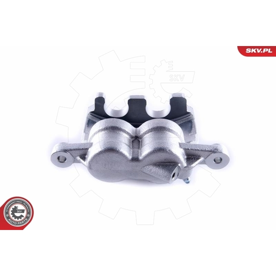 55SKV411 - Brake Caliper 