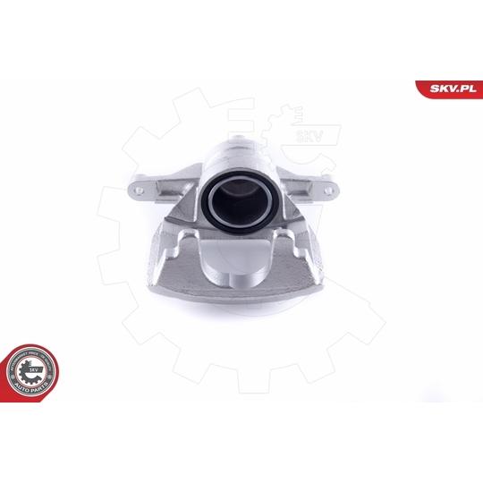 46SKV741 - Brake Caliper 